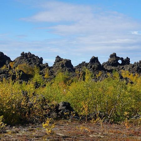 Slow Travel Myvatn - Þufa - Private Homestay Eksteriør bilde