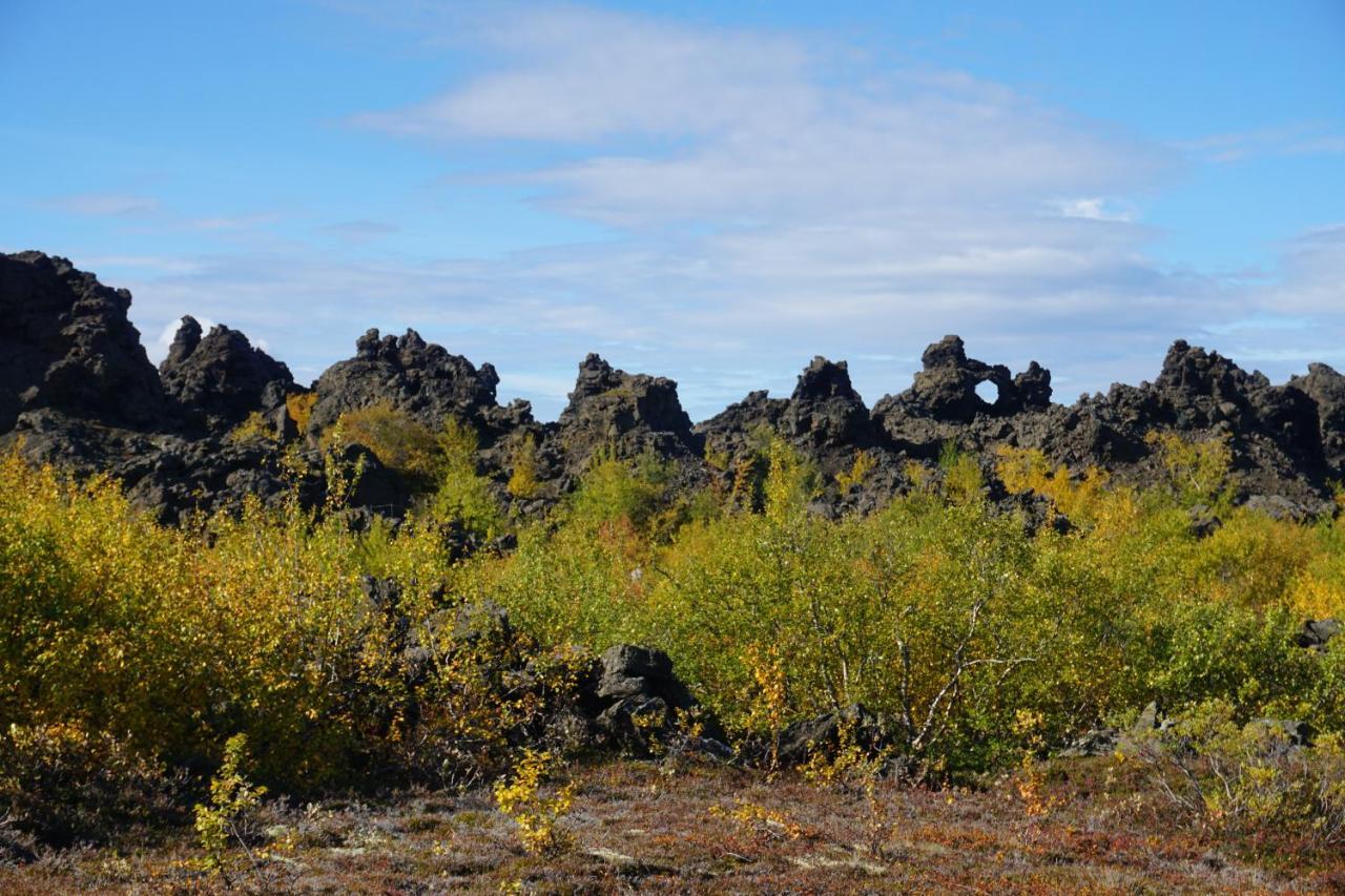 Slow Travel Myvatn - Þufa - Private Homestay Eksteriør bilde